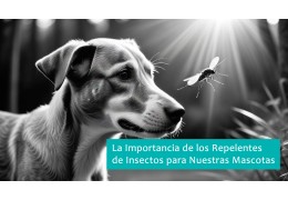 La Importancia de los Repelentes de Insectos para Nuestras Mascotas: Protección y Bienestar